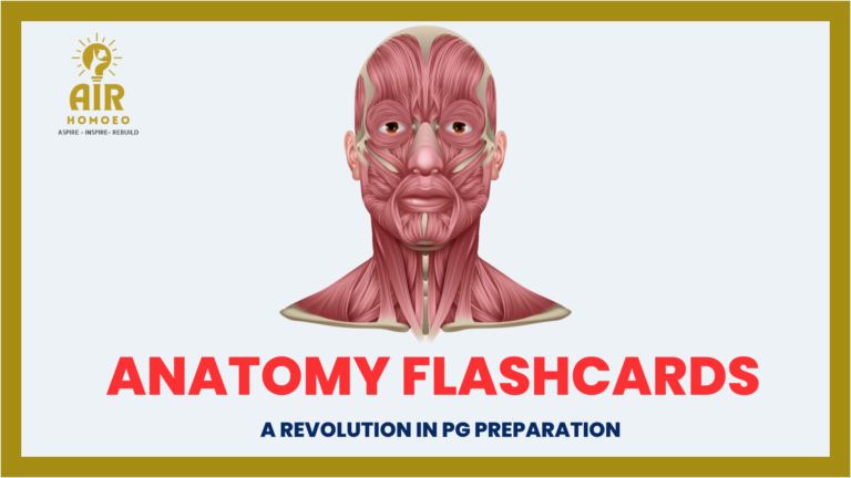 Anatomy Flashcards